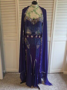 Purple Professional Belly Dance Costume